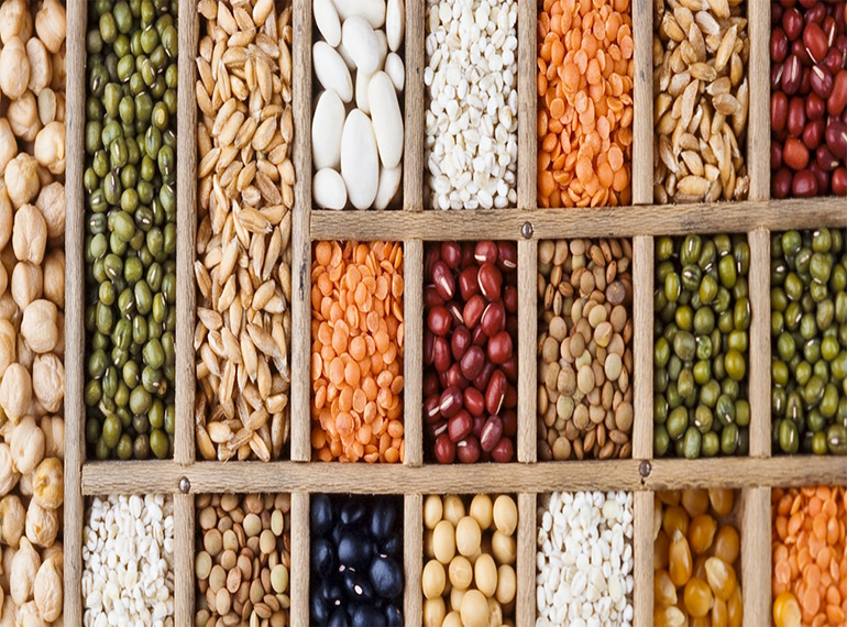 Organic Seeds